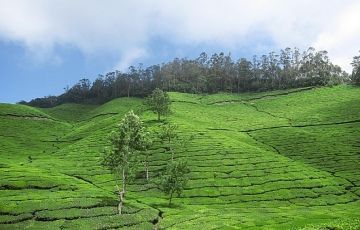 Pleasurable 8 Days Bangalore, Mysore, Coorg and Kodaikanal Trip Package