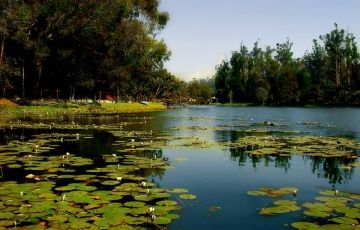 Pleasurable 8 Days Bangalore, Mysore, Coorg and Kodaikanal Trip Package