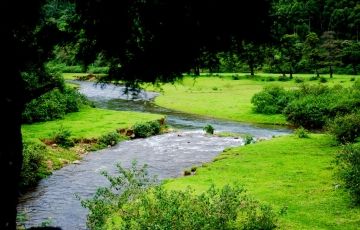 Best 8 Days 7 Nights Cochin, Munnar, Periyar, Alleppey with Kovalam Holiday Package