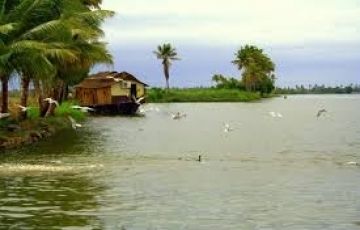 Experience Alleppey Tour Package for 5 Days 4 Nights