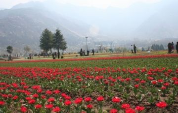 Pleasurable Srinagar Tour Package for 5 Days 4 Nights