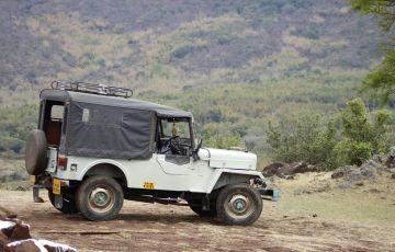 Adventurous Masinagudi