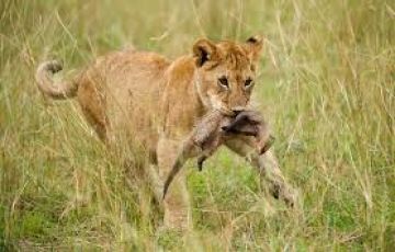 Best 4 Days 3 Nights Lake Man Trip Package