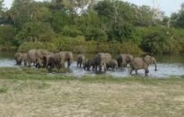 Heart-warming 4 Days 3 Nights Dar es salaam Vacation Package