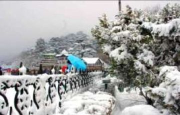 Shimla Family Trip - Toy Train