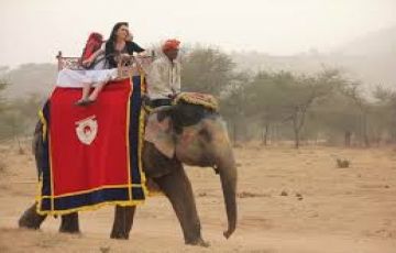 Beautiful Rajasthan Tour Package for 2 Days 1 Night