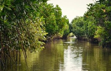 Amazing 7 Days 6 Nights Kutch, Kutch, Mandvi Beach with Dholavira Vacation Package