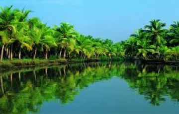 Pleasurable 6 Days 5 Nights Munnar Trip Package