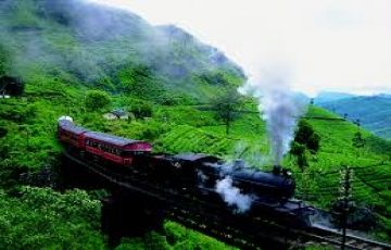 Beautiful 7 Days 6 Nights Colombo, Pinnawala, Kandy and Nuwaraeliya Vacation Package