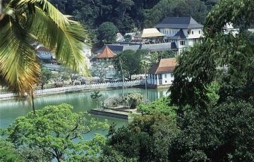Beautiful 7 Days 6 Nights Colombo, Pinnawala, Kandy and Nuwaraeliya Vacation Package