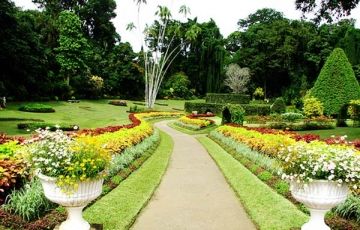 Beautiful 7 Days 6 Nights Colombo, Pinnawala, Kandy and Nuwaraeliya Vacation Package