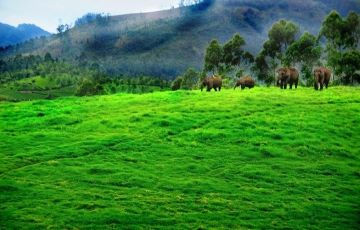 Beautiful 4 Days 3 Nights Coimbatore and Munnar Trip Package