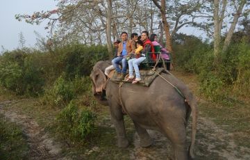 Memorable 3 Days 2 Nights Kaziranga and Guwahati Trip Package