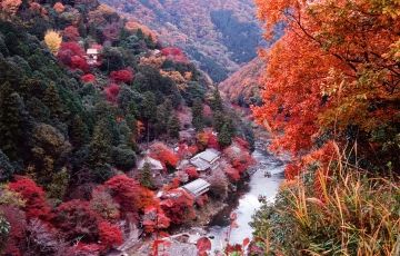 Experience Kanazawa Tour Package for 10 Days 9 Nights