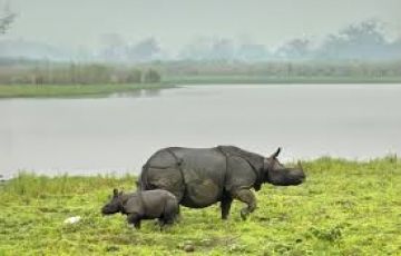 Magical 5 Days 4 Nights Guwahati and Kaziranga Trip Package