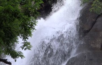 Experience 5 Days 4 Nights Thenmala Vacation Package