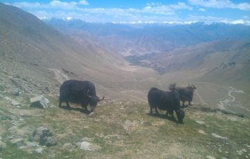 Memorable 8 Days 7 Nights Leh, Nubra Valley, Pangong Lake, Kargil, Sonamarg with Srinagar Trip Package