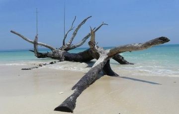 Heart-warming 6 Days 5 Nights Baratang Island Tour Package Heart-warming 6 Days 5 Nights Baratang Island Tour Package