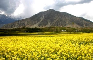 Heart-warming 7 Days 6 Nights Pahalgam Tour Package