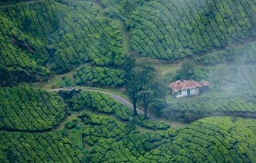 Heart-warming 4 Days 3 Nights Ernakulam and Munnar Tour Package