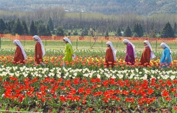 Pleasurable 7 Days 6 Nights Pahalgam Trip Package