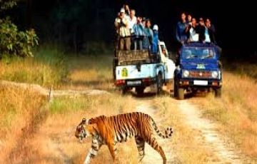 JIm Corbett Tour Package from New Delhi