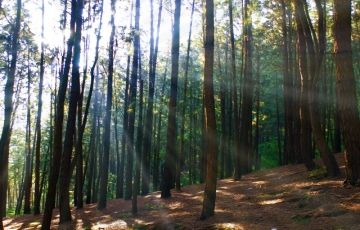 Family Getaway 7 Days 6 Nights Alleppey Trip Package