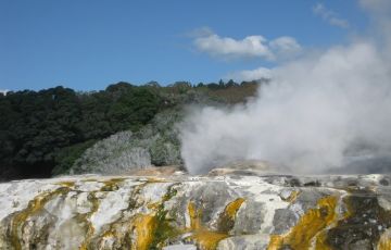 Heart-warming 5 Days 4 Nights Auckland, Waitomo with Rotorua Vacation Package