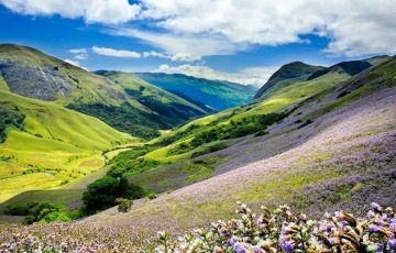 Ecstatic Wayanad Tour Package for 3 Days 2 Nights