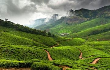 Ecstatic Wayanad Tour Package for 3 Days 2 Nights