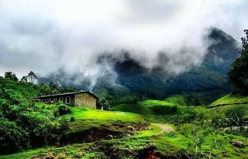 Ecstatic Wayanad Tour Package for 3 Days 2 Nights