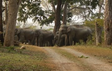 Heart-warming Nainital Tour Package for 6 Days 5 Nights