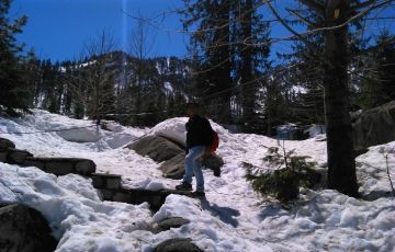 Magical 6 Days 5 Nights Shimla with Manali Trip Package