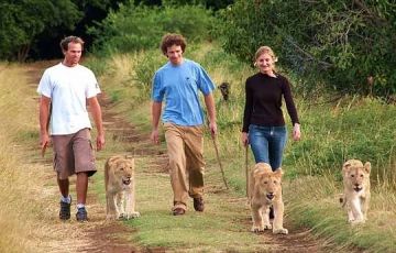 Magical 6 Days 5 Nights Mauritius Trip Package