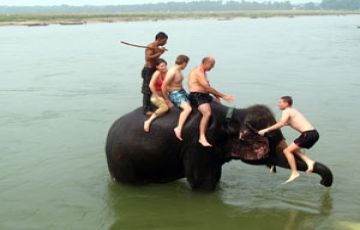 Experience 8 Days 7 Nights Chitwan Tour Package