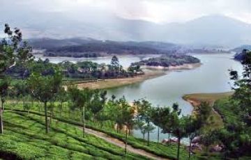 Pleasurable 4 Days 3 Nights Munnar and Kumarkom Tour Package