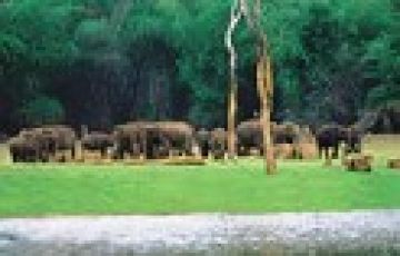 Best 5 Days 4 Nights Cochin, Munnar, Thekkady with Alleppey Tour Package