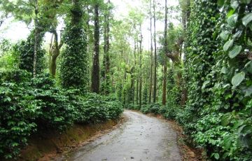 Beautiful Coorg Tour Package for 7 Days 6 Nights