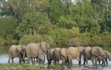 Family Getaway Ngorongoro Tour Package for 4 Days 3 Nights