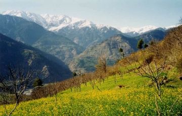 Amazing 6 Days 5 Nights Chandigarh Trip Package