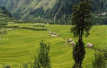 Beautiful 7 Days 6 Nights Dharamshala Vacation Package