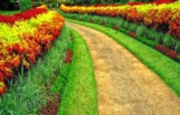 Pleasurable 6 Days 5 Nights Colombo, Kandy with Nuwara Eliya Holiday Package