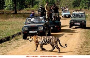 Heart-warming 13 Days 12 Nights New Delhi, Jabalpur, Agra, Jaipur and Jaisalmer Tour Package