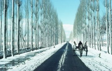 Heart-warming Pahalgam Tour Package for 13 Days 12 Nights