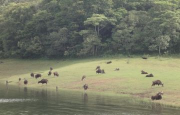 Memorable 5 Days 4 Nights Alleppey Vacation Package