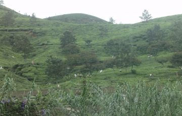 Memorable 5 Days 4 Nights Alleppey Vacation Package