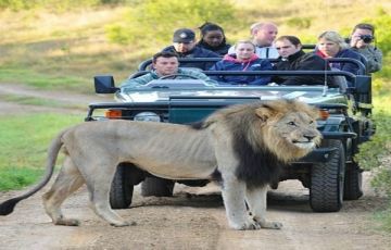 Family Getaway 5 Days 4 Nights Mumbai, Ahemdabad, Sayla and Rajkot Trip Package