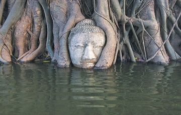 Best 11 Days 10 Nights Patna Vacation Package