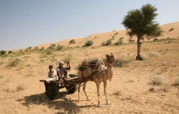 Amazing 4 Days 3 Nights Jaisalmer with Jodhpur Trip Package