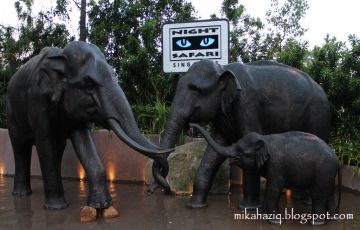 Heart-warming 4 Days 3 Nights Singapore and Sentosa Island Trip Package